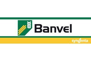 BANVEL 10 ml